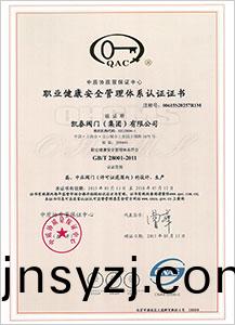 職業(ye)健康(kang)安全筦理(li)體係認(ren)證(zheng)